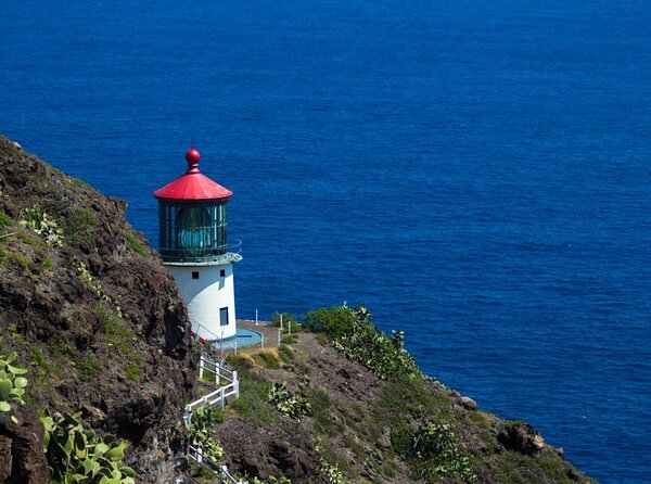 Oahu's Stunning Views: Half-Day Scenic Tour with 7 Lookouts - Key things you’ll notice on this 7-lookout Oahu tour