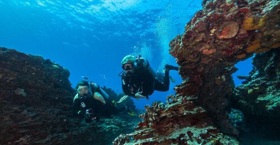 Oahu: Shallow Reef Scuba Dive for Certified Divers - Key highlights that make this Oahu reef tour worth your time