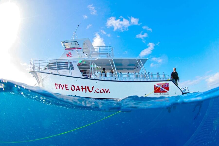 Oahu: Shallow Reef Scuba Dive for Certified Divers - Safety briefing: what you’re signing up for