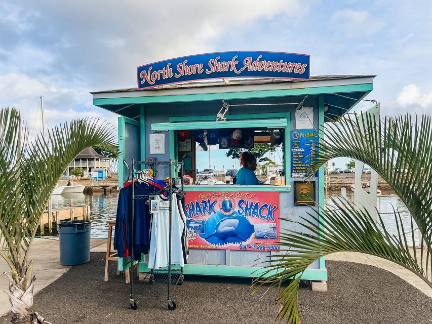 Oahu: Shark Cage Dive on the North Shore - Key points before you go