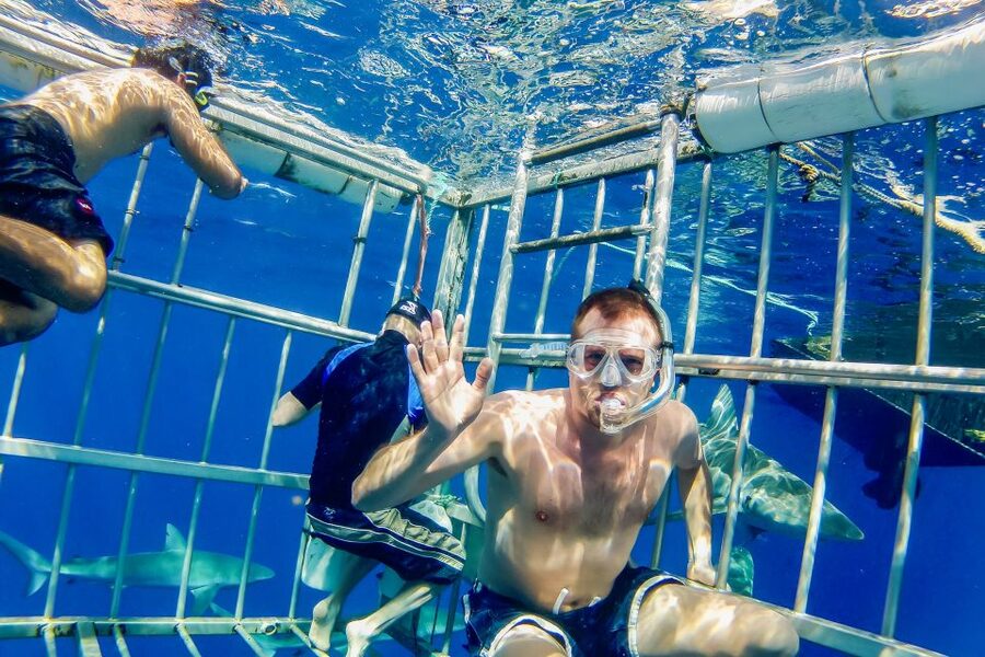 Oahu: Shark Cage Dive on the North Shore - Safety briefing first: how the cage keeps things controlled