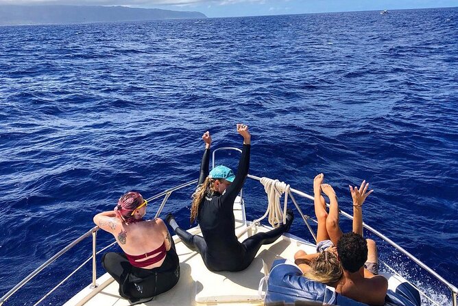 Oahu Shark Dive Educational Tour (No cage) - Gear and what you actually use in the water