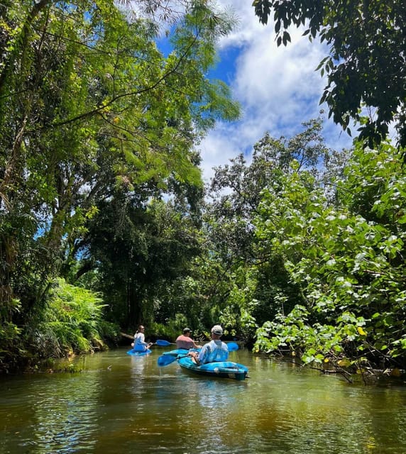 Oahu: Single & Double Kayak 3-Hour River Rental - Quick Take: What Makes This Oahu Kayak Rental Work