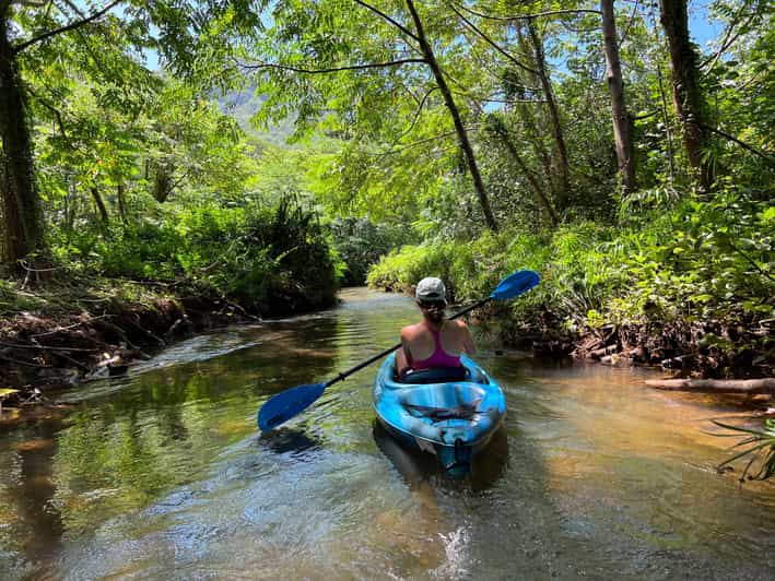 Oahu: Single & Double Kayak 3-Hour River Rental - Your first minutes matter: gear, safety, and getting comfortable