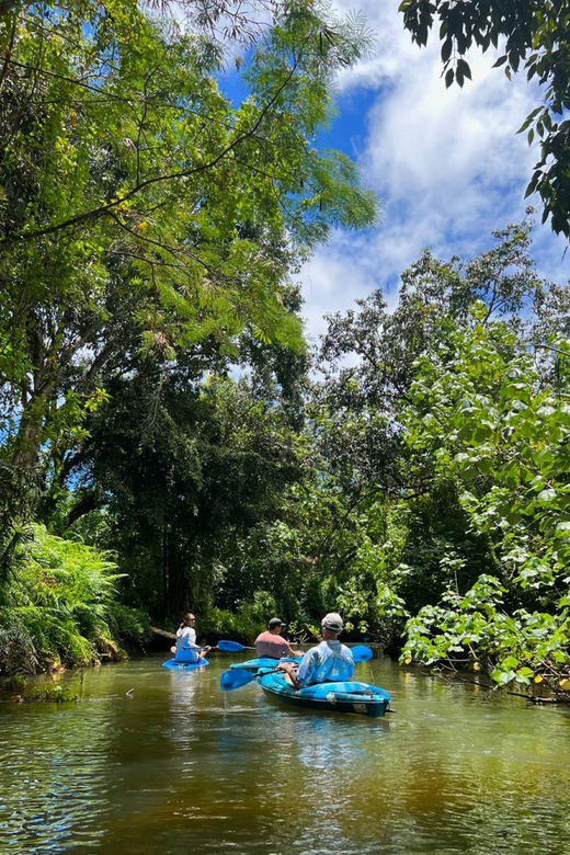 Oahu: Single & Double Kayak 3-Hour River Rental - The human side: what it feels like to start at the host property