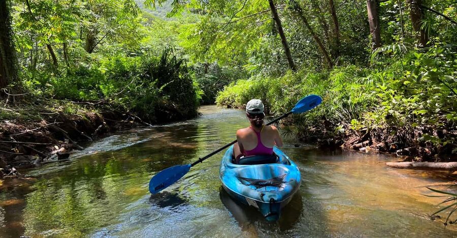 Oahu: Single & Double Kayak 3-Hour River Rental - Rainy-day reality: this isn’t weather fragile