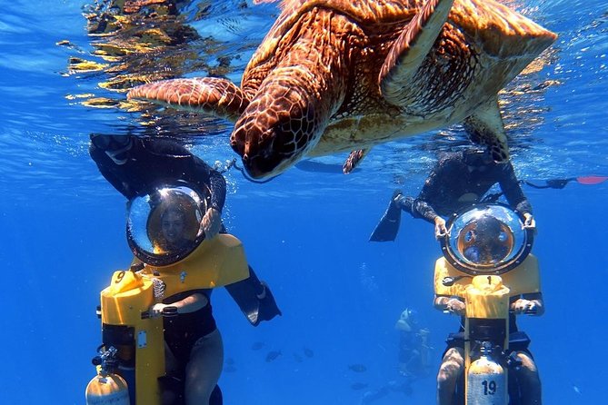 Oahu: Submarine Scooter Adventure - Key things that make this Oahu submarine scooter tour worth it