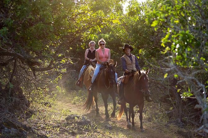 Oahu Sunset Horseback Ride - Key things to know before you go