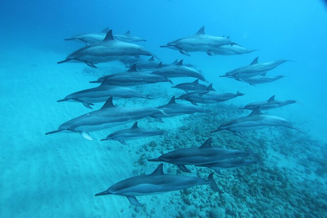 Oahu: Swim with Dolphins on the West Coast - Stop 1: Waianae Mountain Range and the Coastline Scan