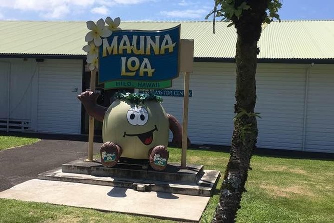 Oahu to Big Island : Big Island Volcano Helicopter Tour & Hilo 1 Day Tour - Helicopter + Hilo in One Ticket: Why This Day Works