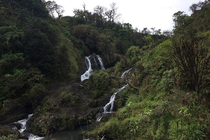 Oahu to Maui 1 Day Trip : Road to Hana Day Trip from Oahu with Air Ticket - What This Day Solves: Tickets, Transport Comfort, and Included Meals