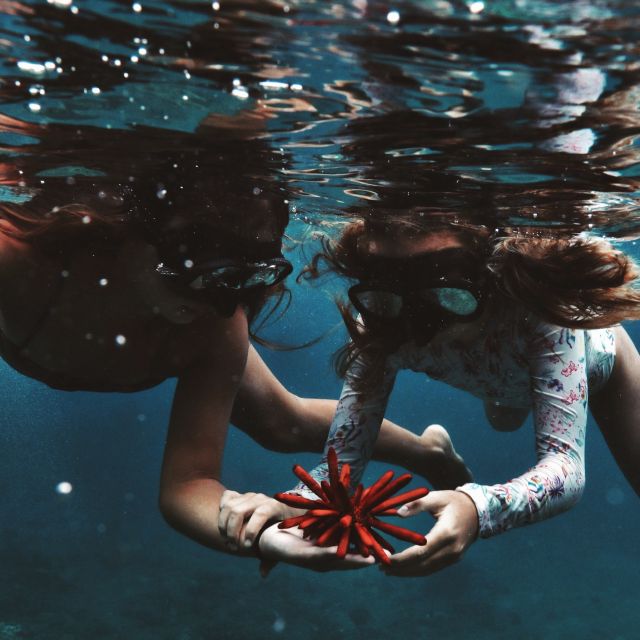 Oahu: Turtle Canyon Snorkeling Boat Tour - Key highlights worth knowing