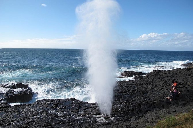 Oahu Ultimate Circle Island Tour Full Day Experience - Waimanalo snacks and the Kualoa-side shuttle segment