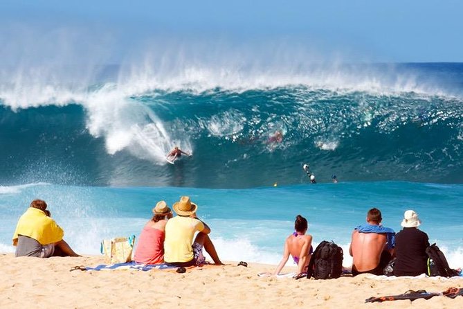 Oahu Ultimate Circle Island Tour Full Day Experience - Kahuku shrimp lunch and the North Shore sea turtle snorkeling hour