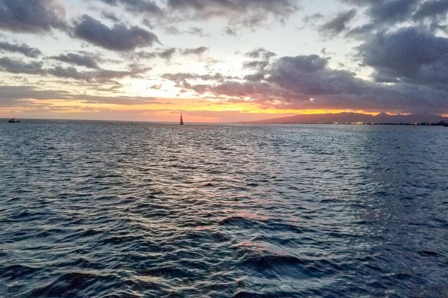 Oahu: Waikiki BYOB Friday Night Fireworks Cruise - Should you book the Waikiki BYOB Friday Night Fireworks Cruise?