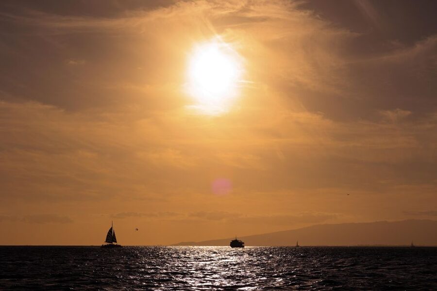 Oahu: Waikiki BYOB Sunset Cruise - Wildlife odds: turtles, dolphins, and whale mother-and-calf moments