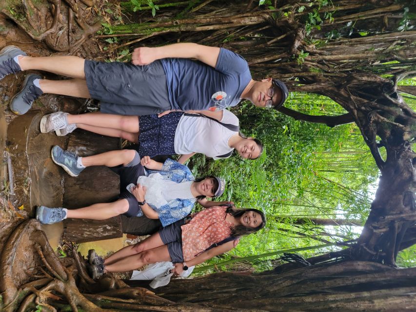 Oahu: Waikiki E-Bike Ride and Manoa Falls Hike - Manoa Falls: the moment you came for