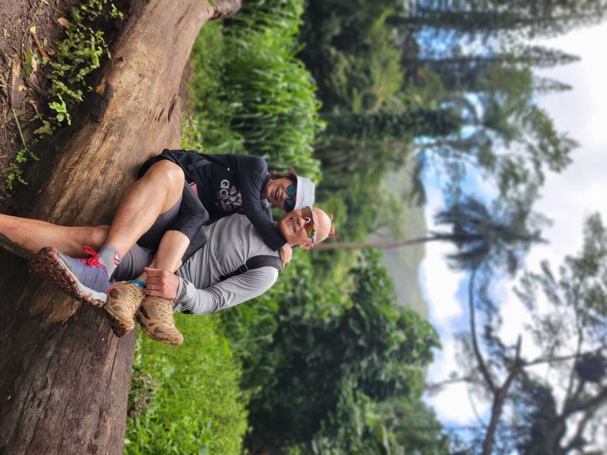 Oahu: Waikiki E-Bike Ride and Manoa Falls Hike - Optional shave ice back in Waikiki