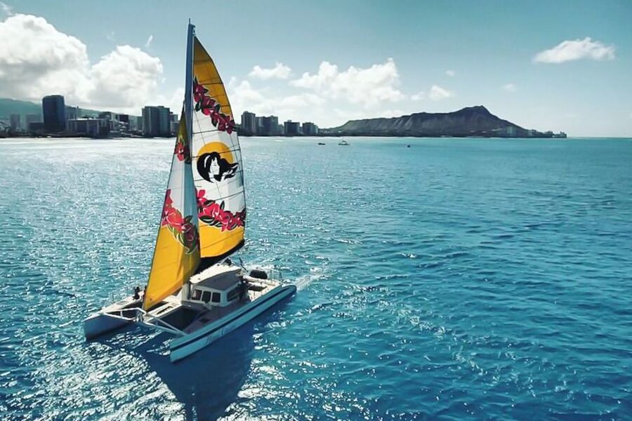 Oahu: Waikiki Eco-Friendly Morning Whale Watching Cruise - Where You Board the Honu Lani at Kewalo Basin Harbor
