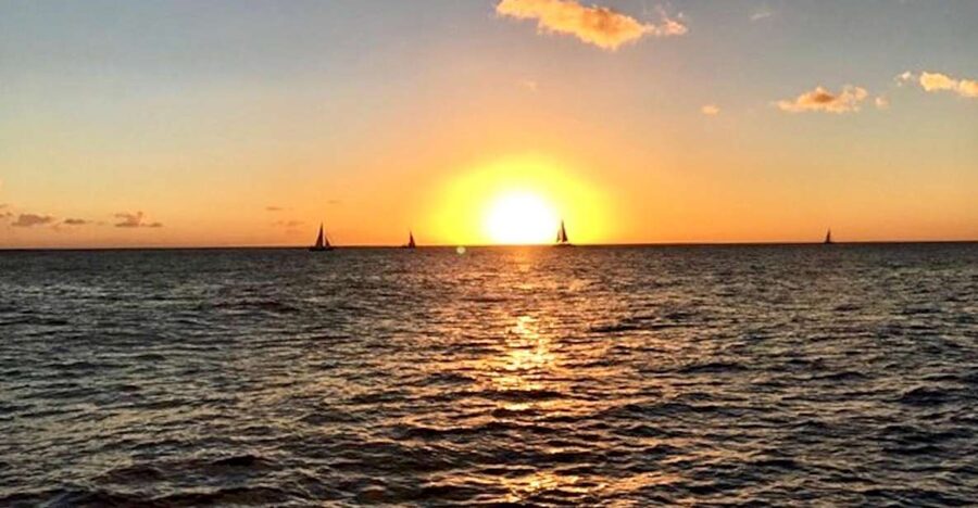 Oahu: Waikiki Glass Bottom Boat Sunset Cruise - Key highlights before you go