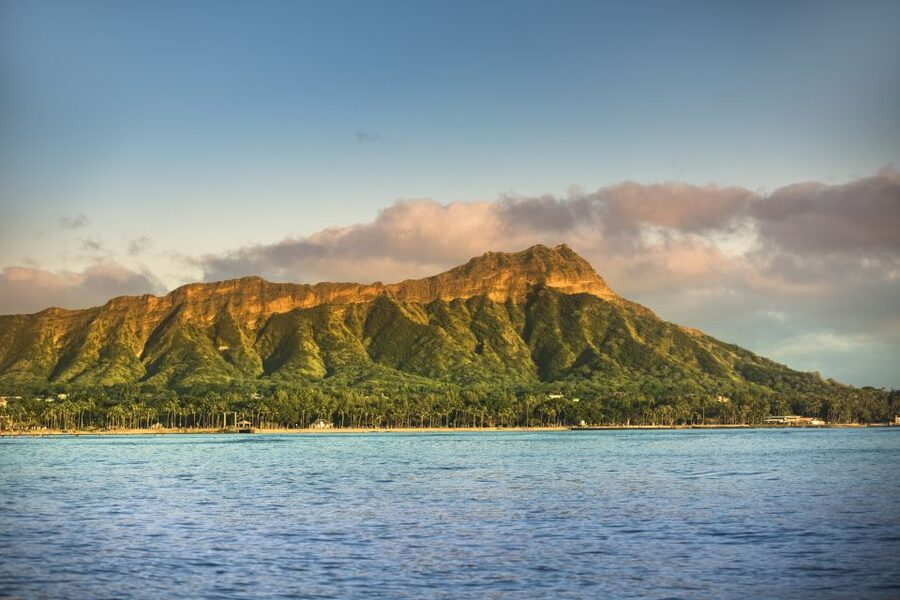 Oahu: Waikiki Glass Bottom Boat Sunset Cruise - Wildlife chances: dolphins, whales, turtles, and fish