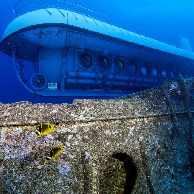 Oahu: Waikiki Submarine Tour - Who should book this Waikiki submarine tour, and who might choose differently