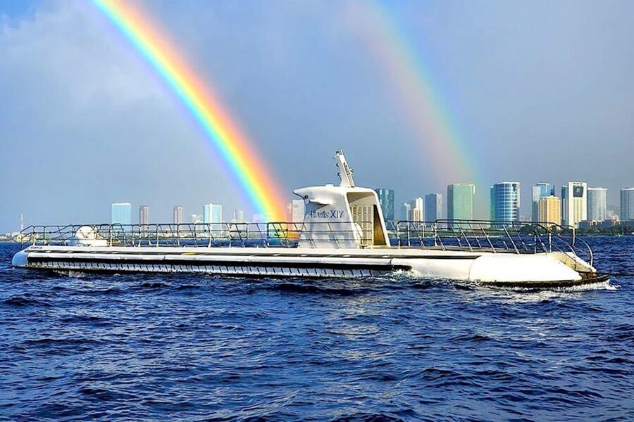 Oahu: Waikiki Submarine Tour - What you’ll see off Waikiki: fish, coral, and turtles up close