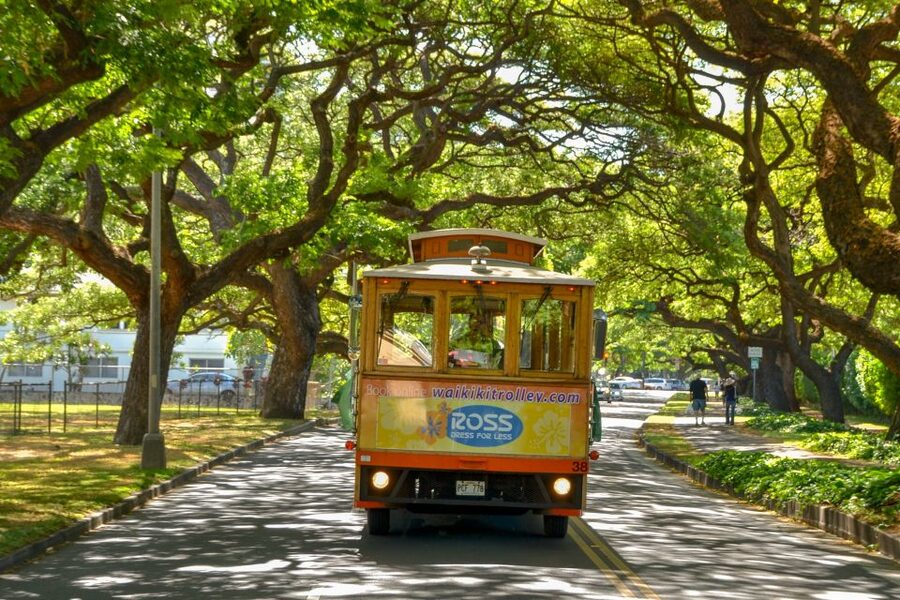 Oahu: Waikiki Trolley Hop-on Hop-off All-Line Pass - Who This Tour Fits Best on Your Oahu Trip