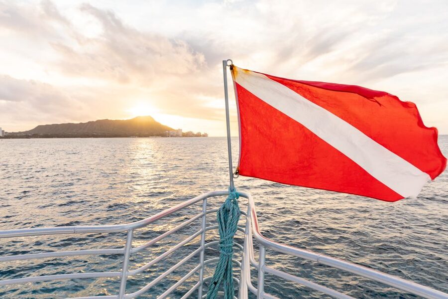 Oahu: Waikiki Turtle Canyons Cruise and Snorkel Excursion - Where this tour starts at Coral Kai (and how to not waste time)