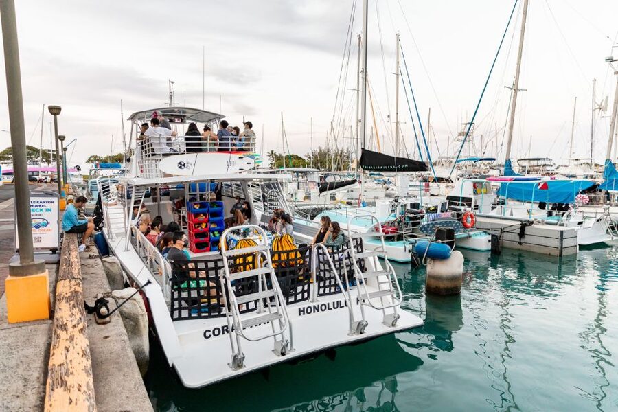 Oahu: Waikiki Turtle Canyons Cruise and Snorkel Excursion - Safety setup: why this tour feels comfortable for beginners