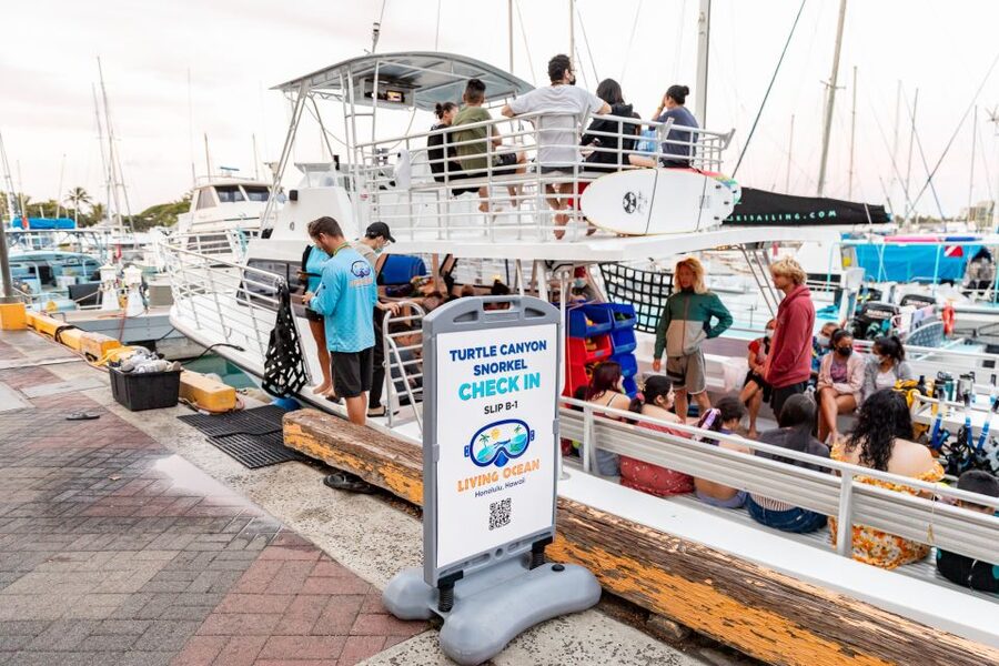Oahu: Waikiki Turtle Canyons Cruise and Snorkel Excursion - Price and value: is $89 a fair deal for Waikiki sea turtle time?