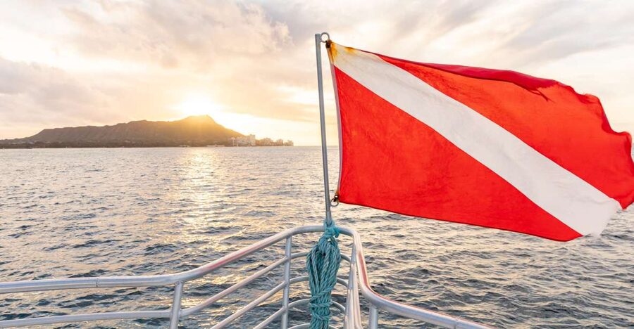 Oahu: Waikiki Turtle Canyons Cruise and Snorkel Excursion - Waikiki coastal cruise: wildlife viewing from a calmer point of view