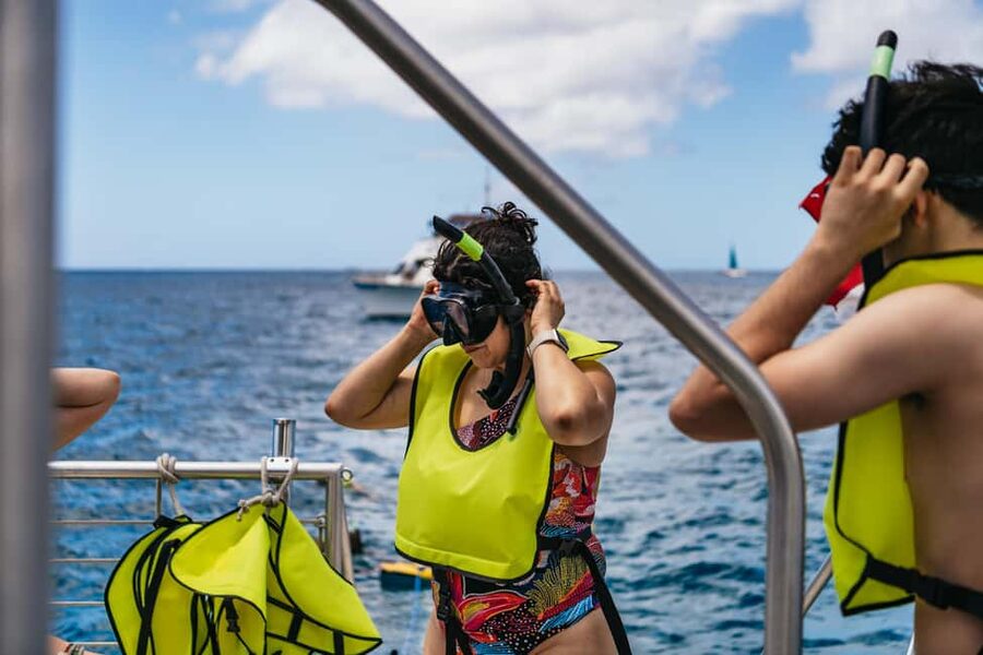Oahu: Waikiki Turtle Snorkel Sail - Why This Turtle Snorkel Sail Works: Catamaran Comfort + Real Reef Time