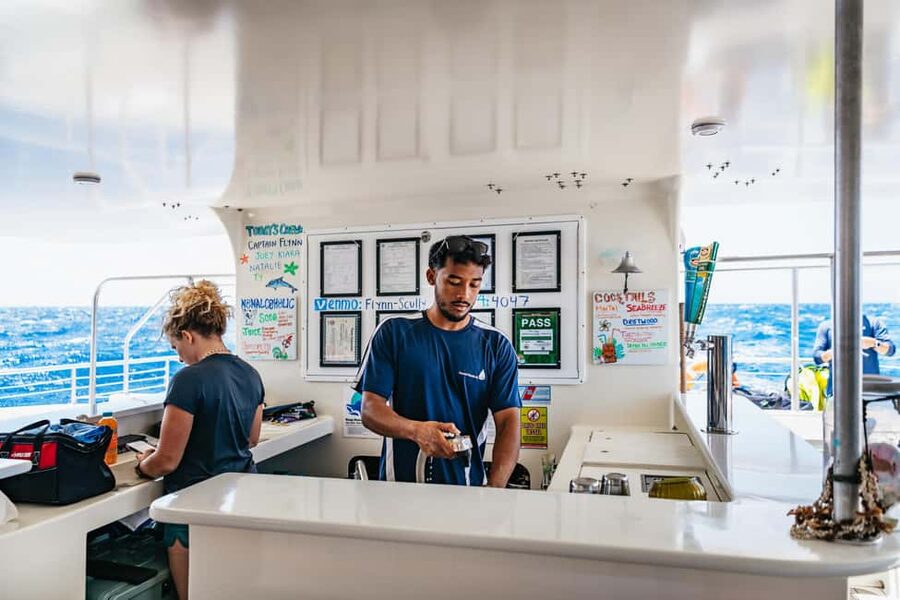 Oahu: Waikiki Turtle Snorkel Sail - The Bar and Snacks: Drinks Without Losing the Calm