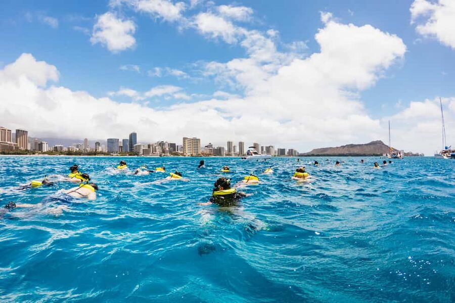 Oahu: Waikiki Turtle Snorkel Sail - Price and Value: Does $99 Add Up on Oahu?