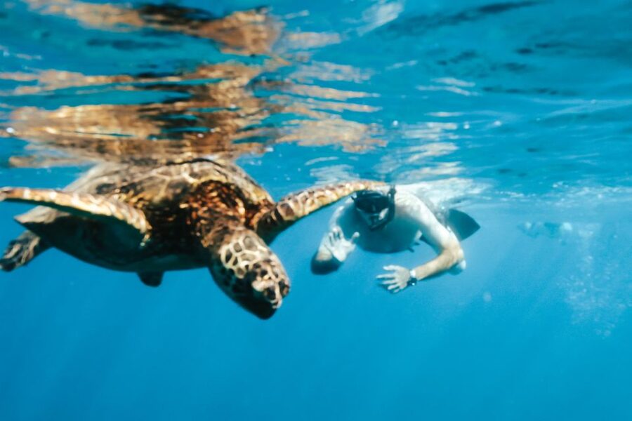Oahu: Waikiki Turtle Snorkeling Adventure - The Crew: Why Kristen and Vivian Get Mentioned So Often