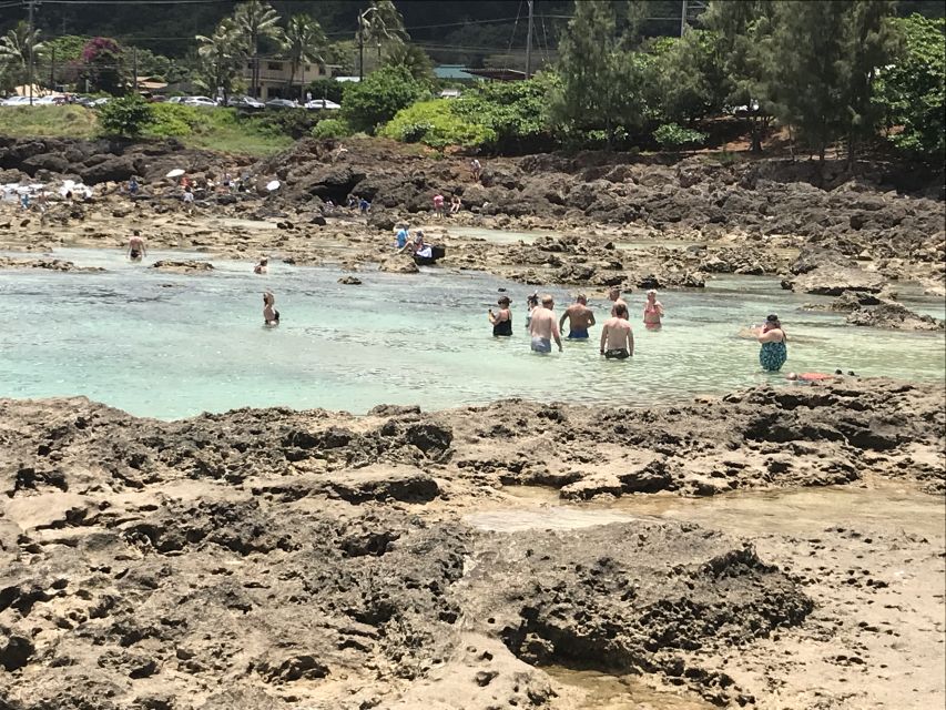 Oahu: Waimea Falls & valley & North Shore day - Hotel Pickup to North Shore Turtle Hunts (and gear that saves time)