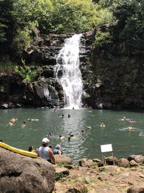 Oahu: Waimea Falls & valley & North Shore day - Afternoon turtle searching and beach hopping, plus tiki and seaglass stops