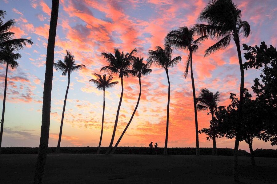 Oahu: West Oahu Sunset Cruise with Cocktails and Appetizers - Key highlights that make this cruise worth your evening