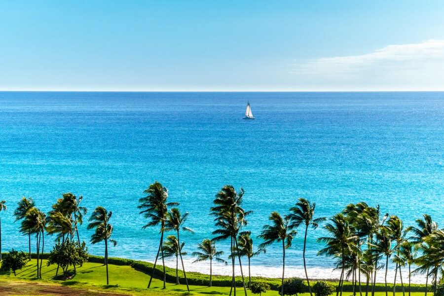Oahu: West Oahu Sunset Cruise with Cocktails and Appetizers - The sail experience: timing, weather, and the “nature bonus”