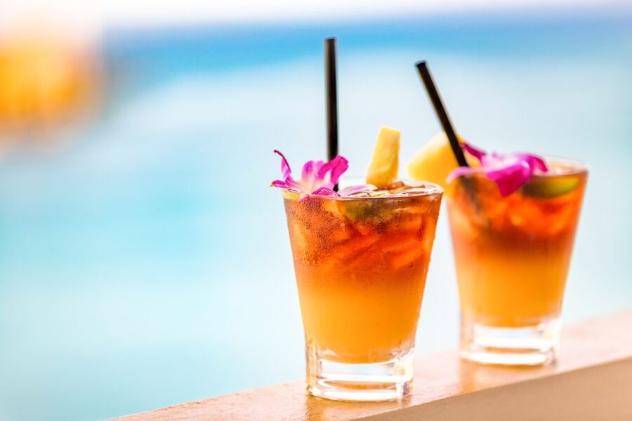 Oahu: West Oahu Sunset Cruise with Cocktails and Appetizers - What to bring: the jacket rule for evening ocean breezes