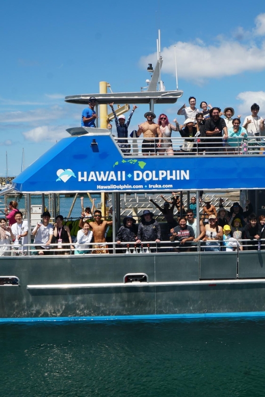 Oahu: Wild Dolphins Swim Turtle Snorkel Tour & Waterslide - Lunch and onboard drinks: turkey sandwich plus small comforts
