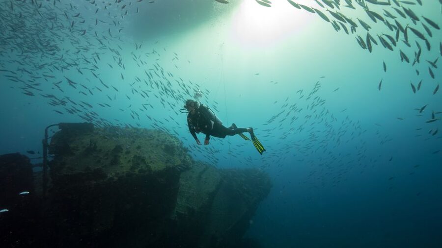 Oahu: Wreck & Reef Scuba Dive for Certified Divers - Gear, wetsuits, and what you should bring to avoid a last-minute headache