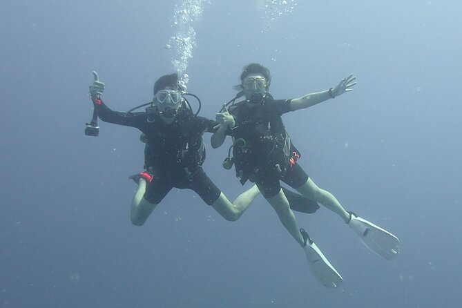 Open Water Scuba Certification - Timing, Meeting Point, and the Schedule That Actually Works on Vacation