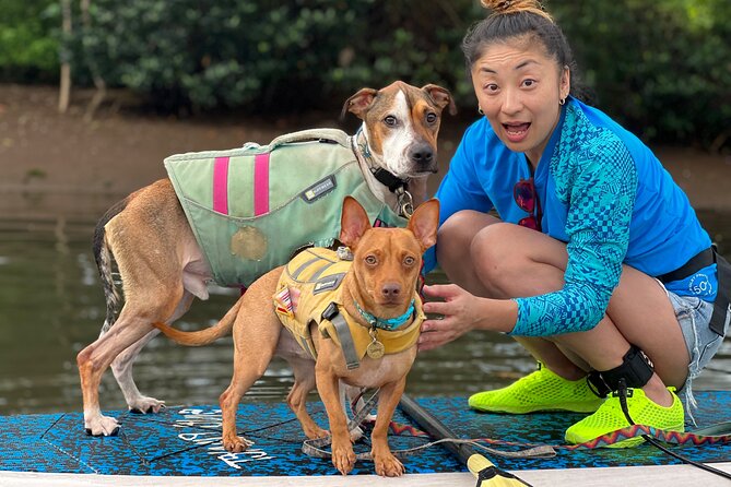 Paddle Board North Shore with Rescue Dogs - Where the North Shore adventure starts: Blue Planet Hale’iwa