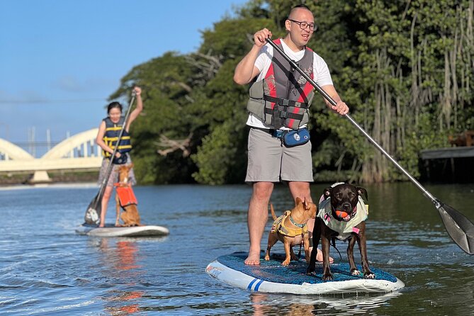 Paddle Board North Shore with Rescue Dogs - FAQ