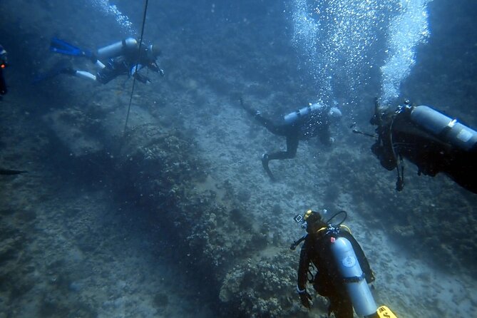 PADI Open Water Certification Course Shared Experience - Small Group Training: Up to 6 People Means More Coaching