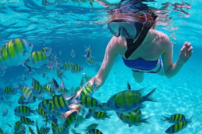 Paradise Waikiki Sunset Cruise + LIVE DJ + SWIMMING - Snorkeling and swimming: when gear is available, safety is the final boss