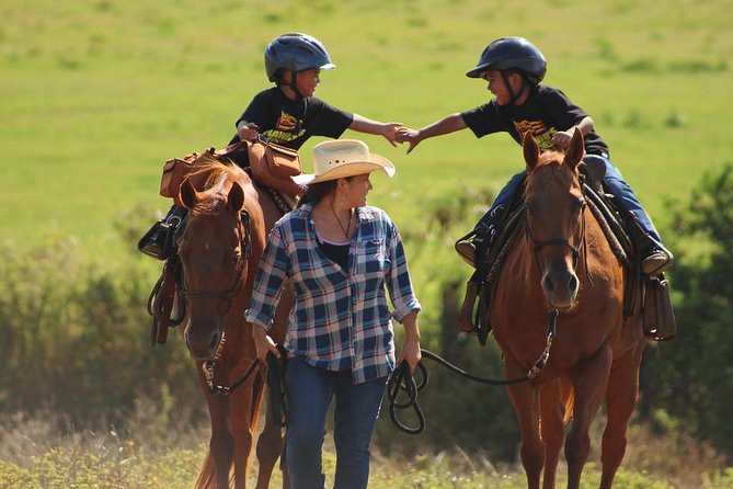 Pony Rides For Kids - Key highlights you’ll actually care about