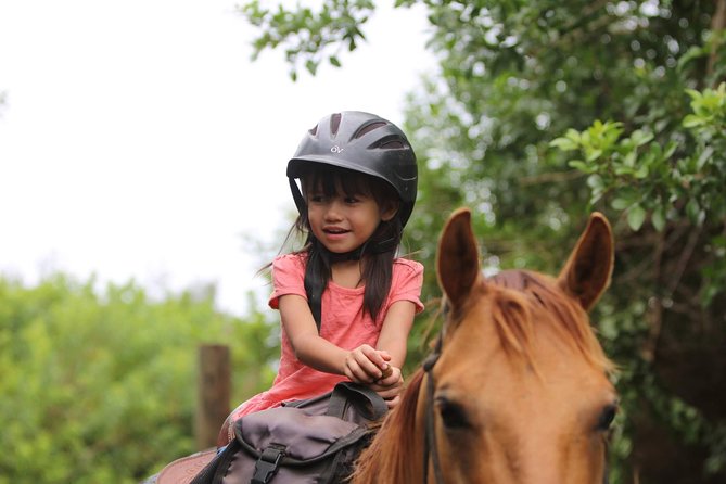 Pony Rides For Kids - After the ride: feeding, brushing, and the free petting zoo moment